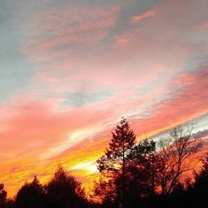 Meet your Posher, Andy charlayne